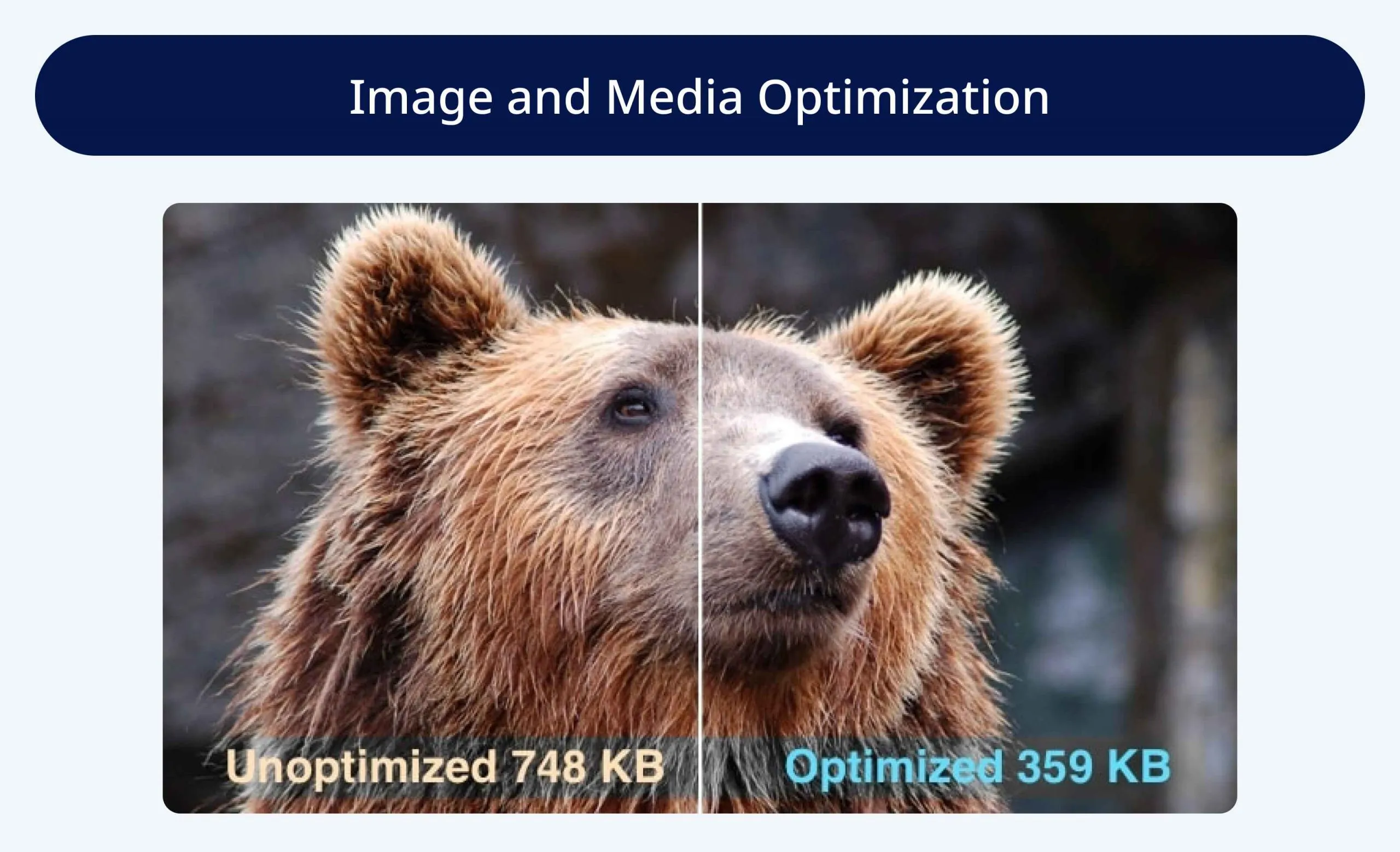 Image and Media Optimization Image and Media Optimization