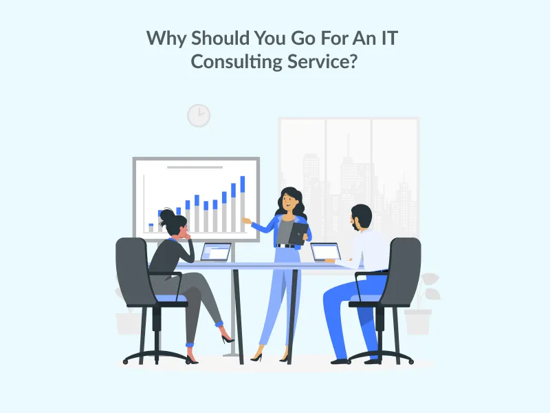 IT Consulting services IT Consulting hourly rates
